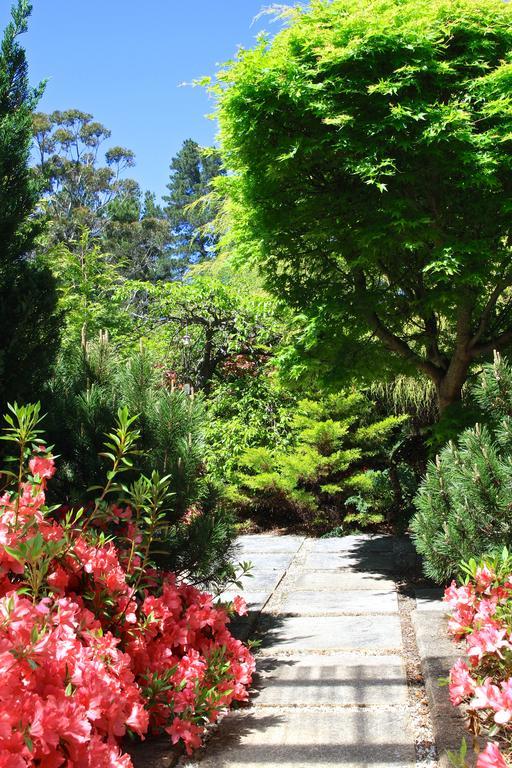 Winston Cottage At Three Sisters Katoomba Exteriér fotografie