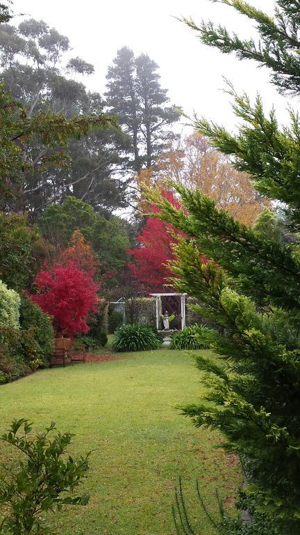 Winston Cottage At Three Sisters Katoomba Exteriér fotografie