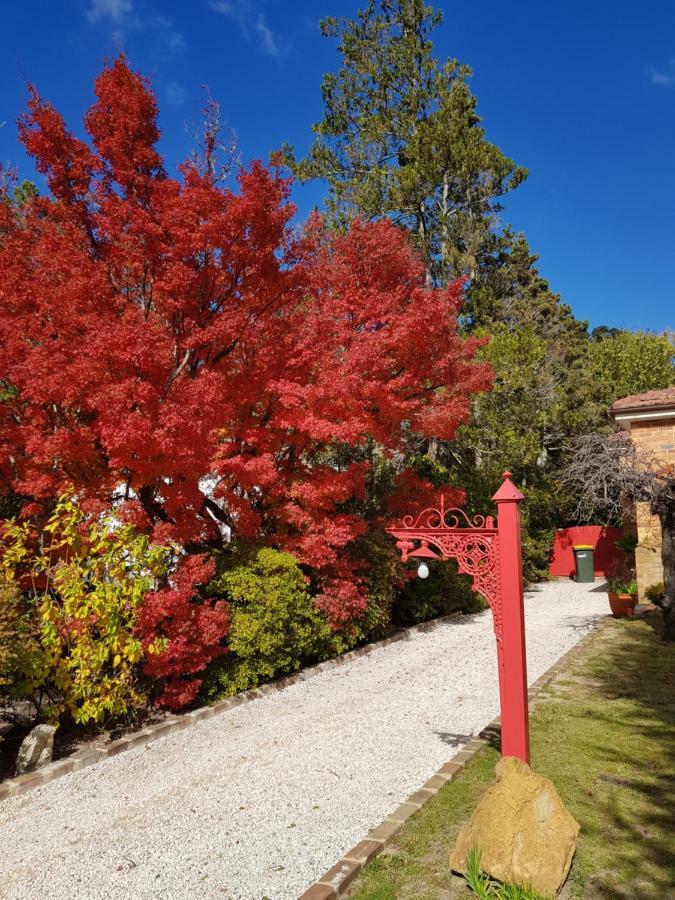 Winston Cottage At Three Sisters Katoomba Exteriér fotografie